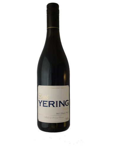 Picture of Yering Stn L/yern P Noir 750ml